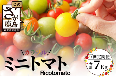 【先行予約】 カラフルミニトマト 『Ricotomato』 【1kg×7回定期便】 【2023年12月から出荷】 I-18