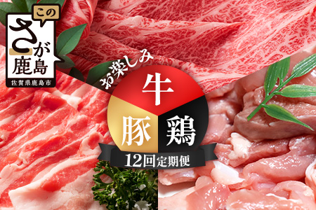 合計9.44kg 定期便 12回 佐賀の牛・豚・鶏 お楽しみ定期便 P-12