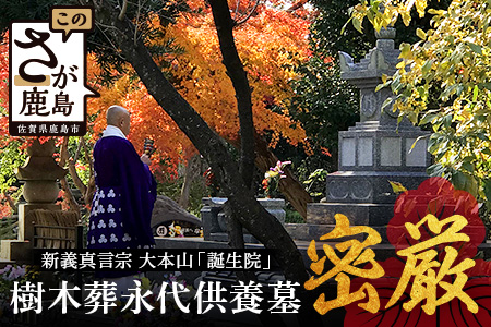 樹木葬永代供養墓「密厳」　佐賀県 鹿島市 鹿島 誕生院 お寺 寺院 樹木葬 永代供養 宗教 宗派 檀家 墓じまい 管理費不要　V-61