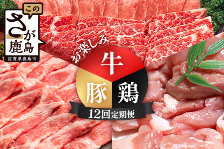 合計23.9kg 定期便 12回 佐賀の牛・豚・鶏 お楽しみ定期便 V-78