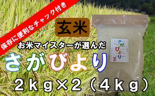 A-149【１等米限定 令和５年産】鹿島市産厳選さがびより 玄米 ４ｋｇ（２kg×２袋）