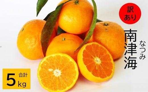 B-484 【希少な柑橘・期間限定】訳あり南津海（なつみ） 5kg