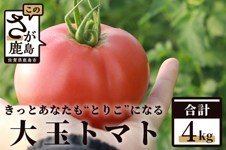 [先行予約] たにぐちファーム 大玉トマト 4kg [2023年12月〜2024年1月出荷] Ricotomato とりこになるトマト