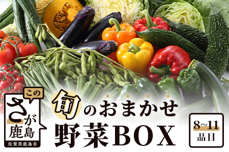 旬のおまかせ野菜BOXセット