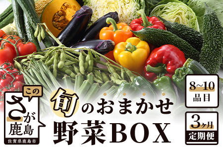 [3ヶ月お届け]旬のおまかせ野菜BOX定期便