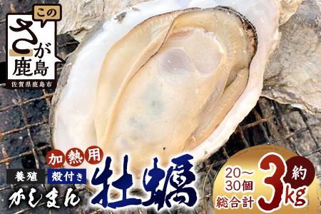 [期間限定][牡蠣][有明海]かしまん牡蠣(養殖)殻付き 3kg かき 佐賀県 鹿島市 有明海