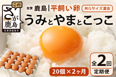 たまご [定期便]佐賀県鹿島産 平飼い卵「うみとやまとこっこ」上田養鶏場 たまご20個×2回 タマゴ 玉子B-396