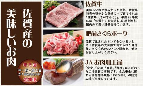 【定期便】 (年6回/隔月お届け) 佐賀牛with肥前さくらポーク お肉の定期便 奇数月