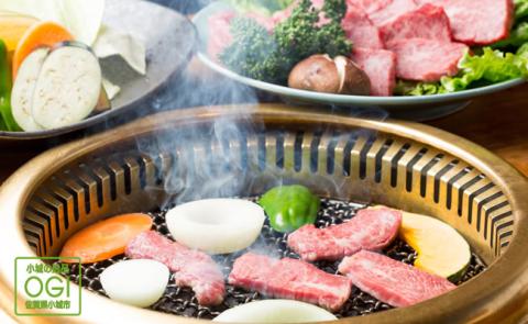 森山牧場 焼肉セット（500g） 佐賀和牛 牛肉 黒毛和牛 お肉 ジューシー 国産 九州産 霜降り 送料無料  ブランド牛 焼肉 人気 ランキング 高評価