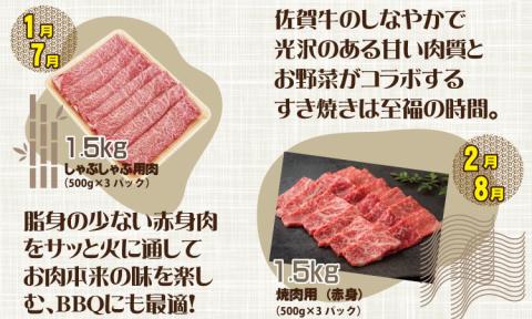 【定期便】 (12ヶ月連続お届け)佐賀牛ボリュームコース