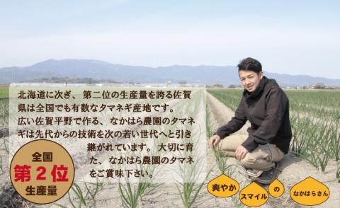 【先行予約】タマネギ（新玉ねぎ）なかはら農園 （10kg）サイズ2L～Mサイズ （たまねぎ、玉葱）　野菜 根菜 オニオン 九州 佐賀 サラダ マリネ 人気 ランキング 送料無料