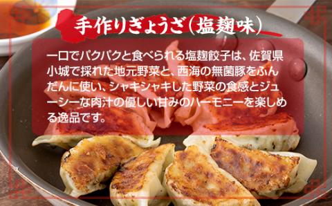【お試しセット】小城の母ちゃんの手作り餃子、野菜饅頭セット(塩麹餃子20個、野菜まんじゅう3個）特製タレ付き  送料無料 餃子 ギョーザ 饅頭 冷凍食品 佐賀