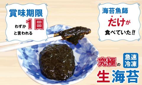 氷結 有明海産「おさしみ生海苔」（20g×8袋）乃市商店  のり 海苔 おさしみ生海苔 希少 有明海 佐賀 漁師めし 生海苔パスタ お味噌汁 卵かけご飯