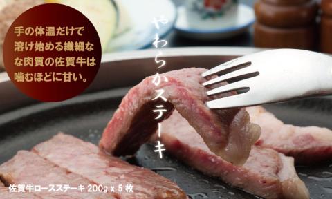 佐賀牛ステーキ・スライス肉セット（3,000g） ブランド 牛肉 食べ比べ パーティセット