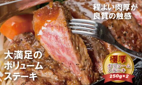 森山牧場産 黒毛和牛ステーキ （250g×2） 佐賀和牛 ステーキ 牛肉 合計500g 黒毛和牛 お肉 厚切り 国産 森山牧場 九州産 送料無料 ブランド牛 ステーキ 焼肉 ブロック セット 人気 ランキング 高評価 牛肉