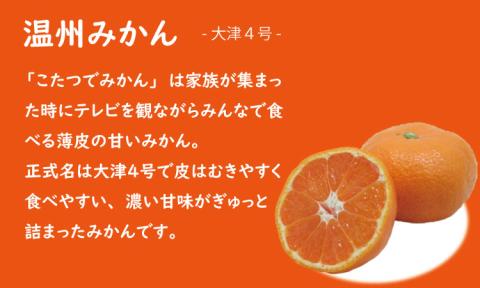 【先行予約】大好評！ご家庭用 大津みかん（10kg）コタツで甘いみかん！柑橘 温州　蜜柑 みかん ミカン　送料無料