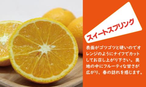 【先行予約】ご家庭用スイートスプリングとはるみセット（５kg）柑橘詰め合わせ フルーツ セット  送料無料 季節の 柑橘 みかん 甘い 人気 ランキング 高評価 ほたるの郷