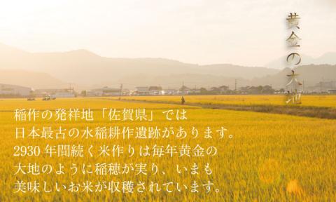 【定期便】 (12ヶ月連続お届け) 毎月お届け 佐賀ブランド米 定期便 白米10kg