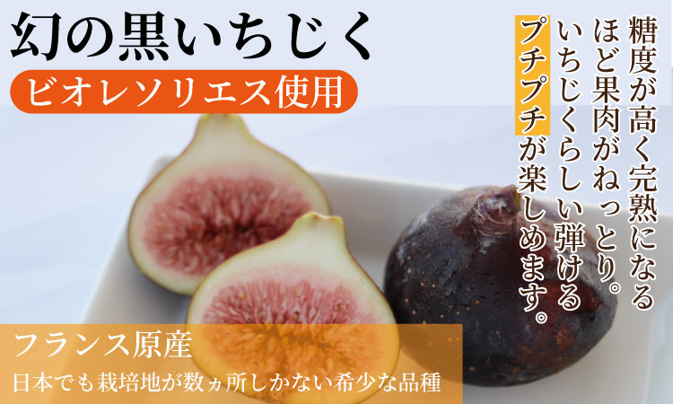 黒いちじく切り羊羹 110g（６粒入り） 高木羊羹本舗 和菓子 フルーツ 無花果 切羊羹 小城羊羹 お茶 ミニサイズ 一口サイズ 小分け スポーツ ゆうパケット便