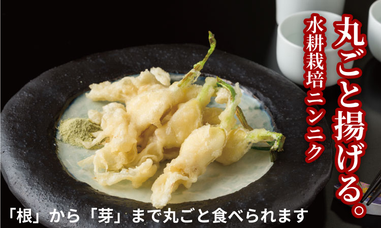 水耕栽培ニンニクセット（４パック） 健康志向 無臭  にんにく 社会福祉 臭いが少ない ニンニク