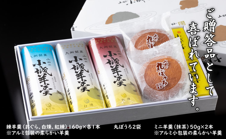 小城羊羹（煉3本、ミニ羊羹2本）と丸ぼうろの詰合せ 山田老舗  和菓子 贈答 プレゼント 贈り物 送料無料