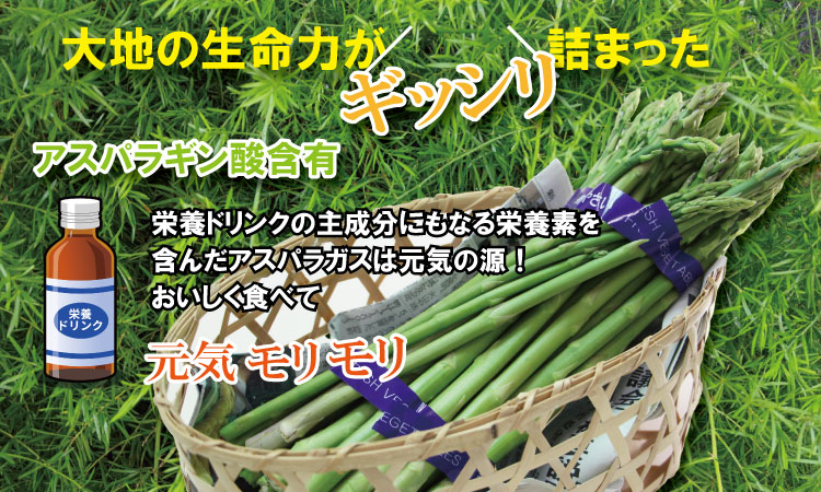 採れたて新鮮！アスパラガス（1kg）百島農園 生産者直送 野菜 人気 ランキング 高評価