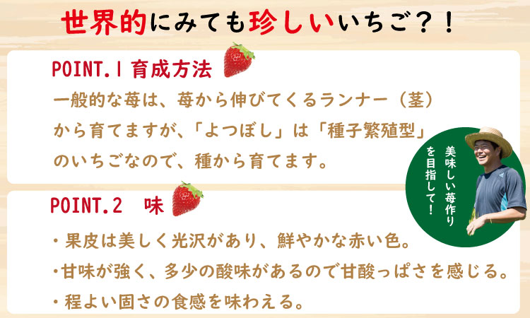 【先行予約令和8年1月配送開始】 佐賀県産いちご「よつぼし」（230g×2パック） しもむら農園 イチゴ 苺  農家直送品 しもむら農園 果物 くだもの フルーツ 人気 ランキング  高評価 送料無料