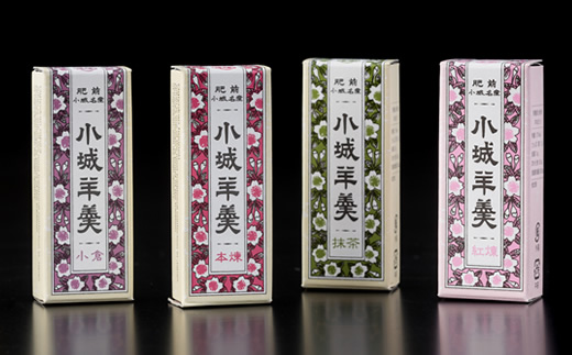 小型小城羊羹12本詰（村岡総本舗）詰め合わせ 父の日 母の日 敬老の日 お茶 スポーツ ようかん 一口サイズ ミニサイズ