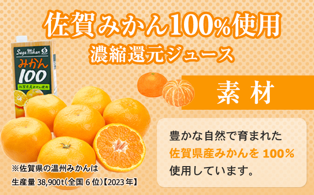 佐賀県産みかん使用 みかん100（ 紙パック 1L×6本）温州みかん 天然 果汁100% ビタミンC 酸味 甘み みかん ジュース 佐賀県 小城市