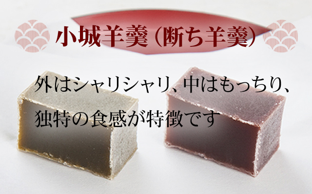 小城羊羹 断ち羊羹5本セット　天山本舗  ギフト 和菓子 詰め合わせ 贈答用 スイーツ 佐賀 送料無料