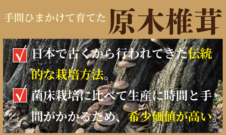 原木乾燥しいたけ（サイズ大・中・小・カット）300g  椎茸  乾燥椎茸 しいたけ  シイタケ