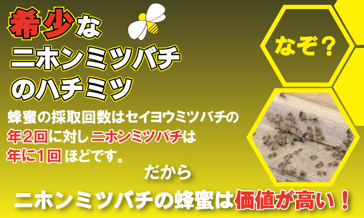 はちみつ（日本蜜蜂）蜂蜜（百花蜜）500g 西山養蜂 ハチミツ 天然はちみつ 希少なハチミツ にほんみつばち 濃厚な味