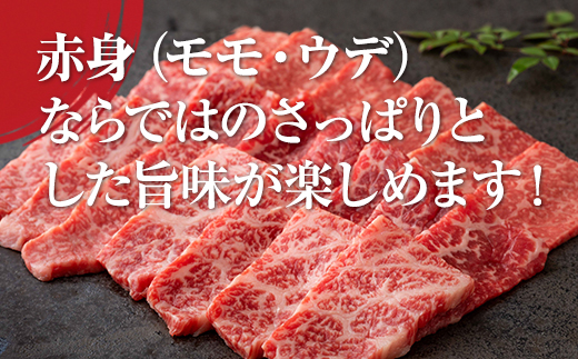佐賀牛 赤身 カルビ 焼肉 400g 弥川　佐賀牛 焼肉 カルビ バーベキュー 国産 BBQ お肉 ブランド牛 九州産 送料無料 A5～A4 ブロック 人気 ランキング  高評価 牛肉 国産 佐賀県産 黒毛和牛 牛 佐賀 小城市