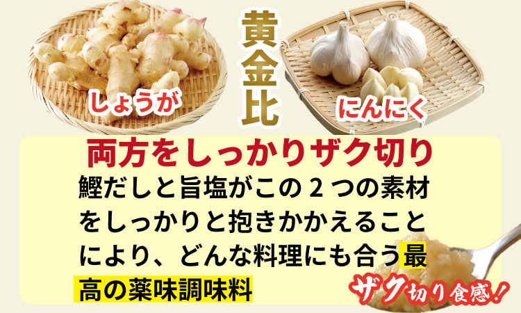 万能 薬味 調味料 「刻んだしょうがとにんにく少々 80g 」（10袋）佐賀の キムチ屋 乃市商店 肉料理 納豆 そうめん の薬味 パスタ ステーキ 焼肉のタレ 馬刺し 地鶏のたたき 冷奴 ほかほかご飯 鰹のたたき 焼き魚