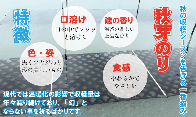 【先行予約】R7年産 幻の秋芽有明海苔（塩・焼き）セット　ひので水産  のり 焼き海苔 味のり 焼海苔 おつまみ海苔 おにぎり 佐賀県産 佐賀のり 送料無料 高級 有明海 詰め合わせ ギフト 食品 人気 ランキング  高評価