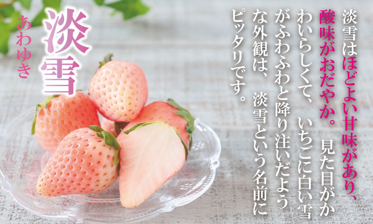 【先行予約令和8年1月配送開始】淡雪＆パールホワイト（各１パック）220g×2（合計440g）農家直送 水田苺園　農家 直送品 果物 くだもの フルーツ 人気 ランキング 高評価 苺 イチゴ