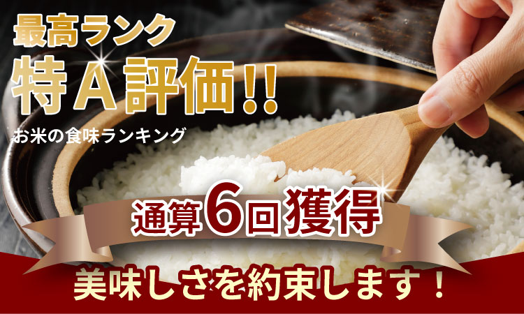 ご飯ソムリエ厳選！夢しずく5kg（肥前糧食）  一等米 精米 白米 ブランド米 お米 白飯 人気 ランキング 高評価
