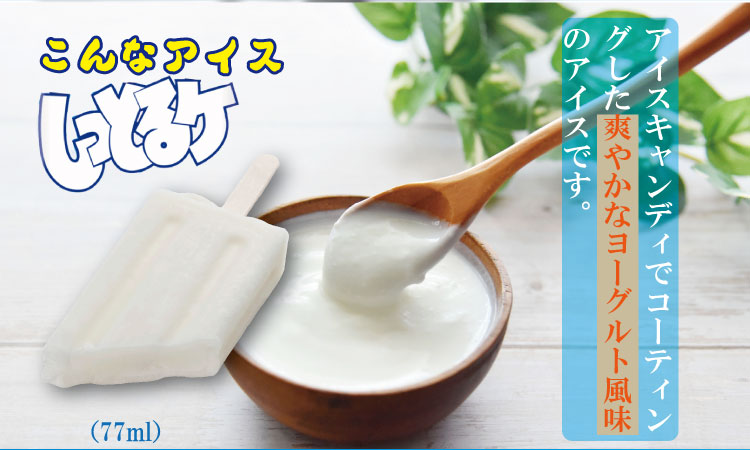 竹下製菓 しっとるケレギュラーサイズ（ 32本） 竹下製菓 しっとるケ レギュラーサイズ（ 32本） 送料無料 竹下製菓 アイスクリーム スイーツ  佐賀 九州 限定 地方 ご当地 お取り寄せ ギフト 小分け 個包装 人気 ランキング 高評価 送料無料