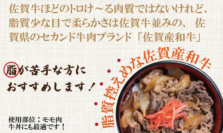 佐賀産和牛モモスライス赤身肉（500g）潮風F