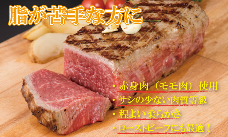 佐賀産和牛モモブロック赤身肉（500g）潮風F