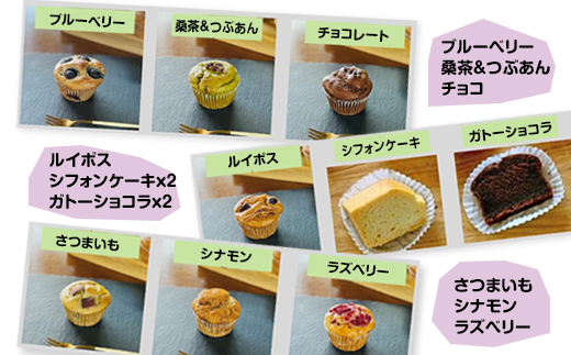 小麦粉不使用 グルテンフリー米粉のスイーツ11点セット（NEW07-11） サンテカフェまる　送料無料 グルテンフリー ヴィーガン 米粉 スイーツ 小麦粉不使用 卵不使用 乳製品不使用 動物性油不使用 砂糖不使用 ギフト 贈り物 佐賀 佐賀県 小城市