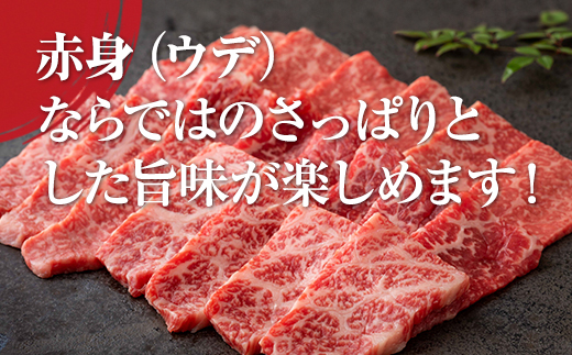 佐賀牛赤身焼肉用400g 佐賀牛 焼肉 バーベキュー 国産 BBQ お肉 ブランド牛 九州産 送料無料 A5～A4 ブロック 人気 ランキング  高評価 牛肉 国産 佐賀県産 黒毛和牛 牛 佐賀 小城市