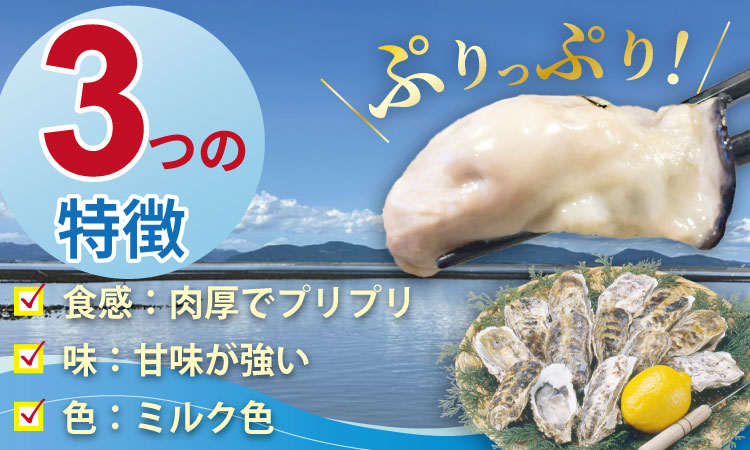 【2月配送】【先行予約】※指定日必須※ 天然 有明海産 住之江牡蠣 殻付き 冷蔵牡蠣 カキ 牡蠣 3㎏