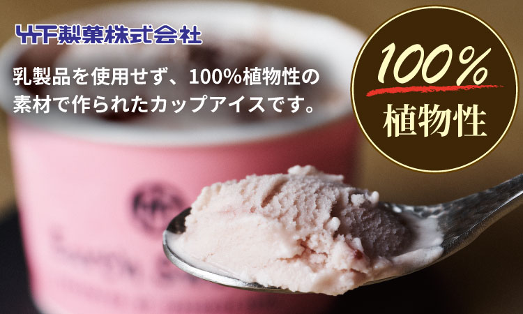 Earth Sweets カップアイス 3種24個セット 【竹下製菓 】 アイス クリーム スィーツ チョコレートアイスクリーム