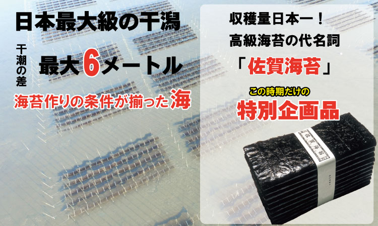 【先行予約受付中（12月出荷）】有明海産 新のり（花海苔・一番海苔・初摘み海苔）100枚入り 佐賀のり 有明海産 特別提供品 一番摘み 初海苔 全形