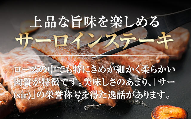 佐賀牛サーロイン ステーキ400g(200g x 2枚)  A4～A5 人気 ロース肉 牛肉 黒毛和牛 九州 佐賀県 小城市