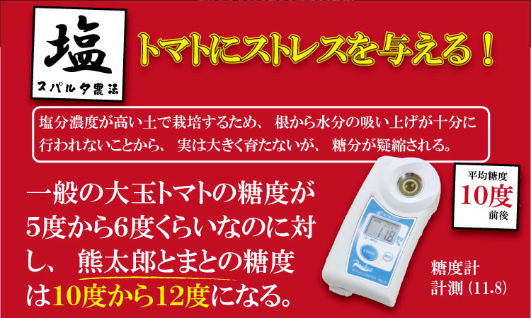 【先行予約】【令和8年1月中旬頃より出荷】熊太郎とまと （3kg）甘さ 濃縮 トマト 塩 スパルタ 栽培 ビタミン豊富 採れたて　ベアーズファーム 佐賀県産 tomato トマト