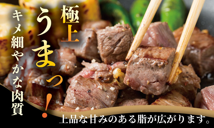 A4 〜 A5 佐賀牛 ヒレ サイコロ ステーキ 400g 佐賀牛 冷凍 赤身 牛肉 希少部位 国産 お肉 ブランド牛 九州産 ヒレ肉 ブランド牛 ステーキ肉 牛肉 フィレフィレ肉 川べぇ