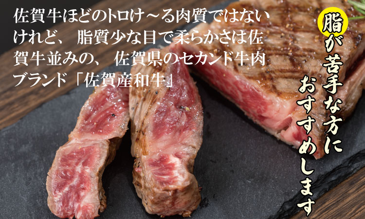佐賀産和牛ロースブロック肉（500g）潮風F 厚切りブロック肉 お好みのサイズにカットする