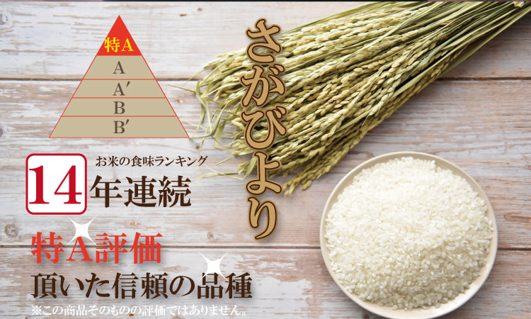 佐賀ブランド米「さがびより」１０ｋｇ（5ｋｇ×２）潮風F